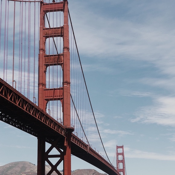 Meet your Posher, Nikkie - Picture 2 of 3